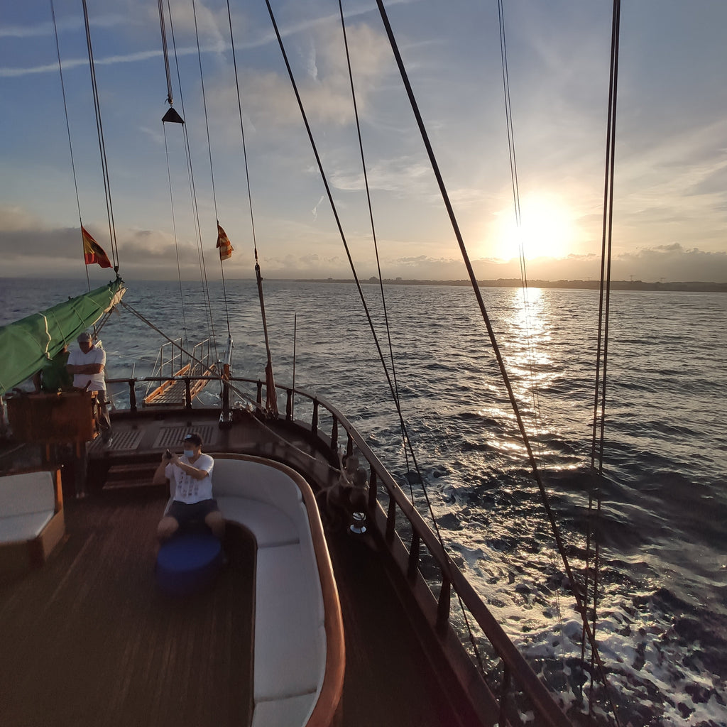 Viaje de Atardecer