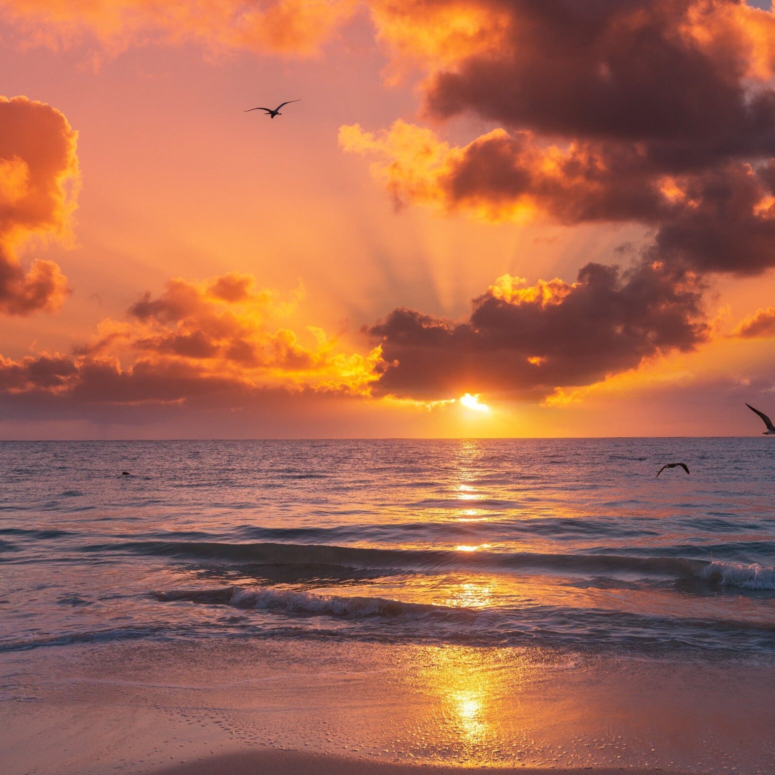 Viaje de Atardecer